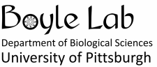 Boyle Lab, University of Pittsburgh
